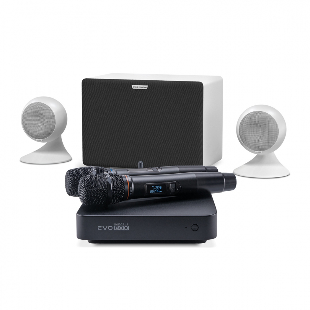 караоке-комплект EVOBOX Classic + EvoSound Sphere 2.1 в Грозном