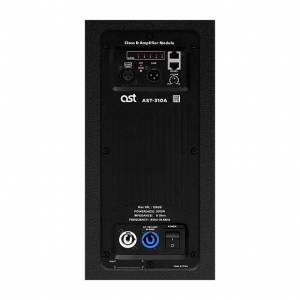 Активная акустическая система AST-310A в Грозном