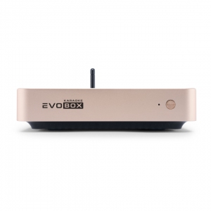EVOBOX Plus караоке-система для дома в Грозном