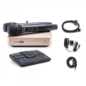 EVOBOX Plus караоке-система для дома в Грозном